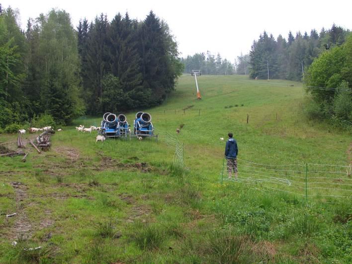 v případě naturového hodnocení) lze záměr akceptovat.