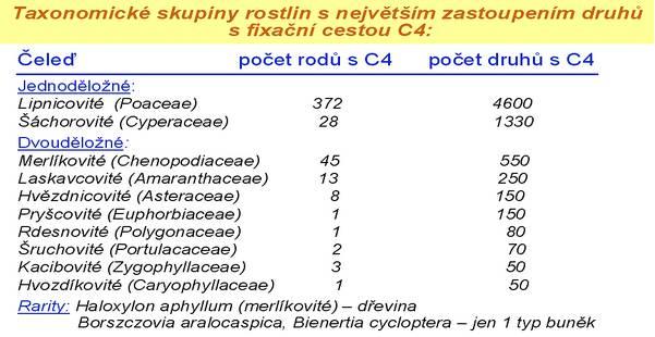 Fixační cesta CAM Ve velmi rozsáhlé a taxonomicky rozmanité skupině sukulentních rostlin nacházíme další zajímavou metabolickou variantu fotosyntetické asimilace CO 2, označovanou jako fixační cesta