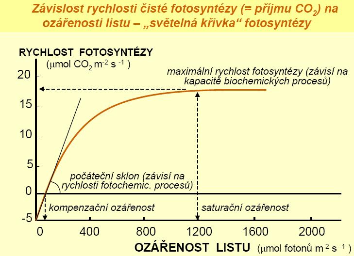 listové plochy za jednotku času měříme jako ozářenost v jednotkách toku energie (W m -2 ), či jako hustotu toku fotosynteticky aktivních fotonů (zkráceně PPF, z angl.