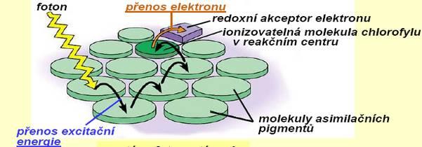 Přebytek energie při návratu elektronu z excitovaného do základního stavu může být jednak přeměněn na teplo či vyzářen ve formě fluorescenčního záření, ale nejčastěji bývá využit k excitaci elektronu