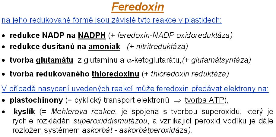 Jakmile je v tomto centru (za přispění absorbované radiační energie) oxidována centrální molekula chlorofylu a, (označovaná jako P700), chybějící elektron je doplněn právě z plastocyaninu, neboť ve