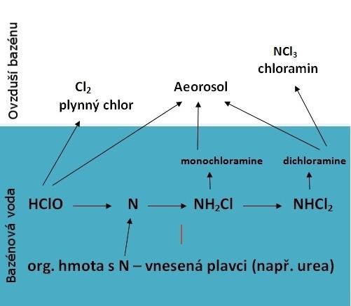 dichloramin zůstávají rozpuštěny ve vodě, trichloramin je kvůli nízké rozpustnosti ve vodě uvolňován do atmosféry bazénových hal a proto má z této skupiny největší význam.