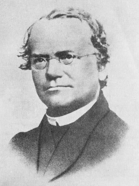 Základy klasické genetiky Gregor (Johann) Mendel 8.2., 8.3.