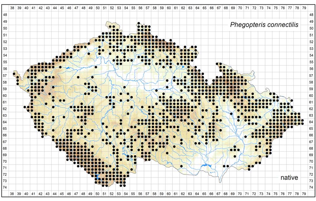 Distribution of Phegopteris connectilis in the Czech Republic Author of the map: Libor Ekrt Map produced on: 15-10-2017 Database records used for producing the distribution map of Phegopteris
