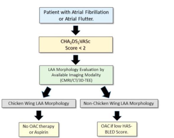 Eighty-four percent of patients had a CHADS2 score of <2.