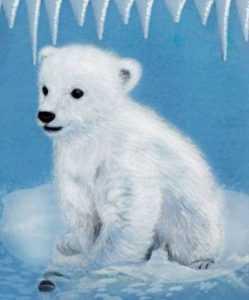Zima v bílém kožíšku - Pohádka o polárních krajích - Dvě pohádky z polárních krajin o zvířátkách, o životě v mrazu a ledu, o kamarádství a rodině.
