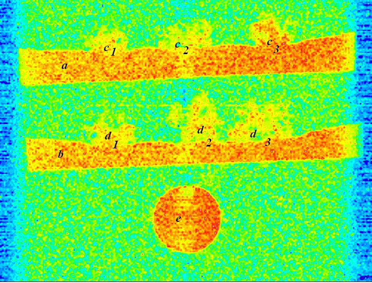 Obr 4.4 Obraz RSE a vody při měření T 2.a) substrát o koncentraci 1000 µm Pb. b) substrát o koncentraci 50 µm Pb. c 1 ),c 2 ),c 3 ) vzorek RSE kultivován na substráte a).