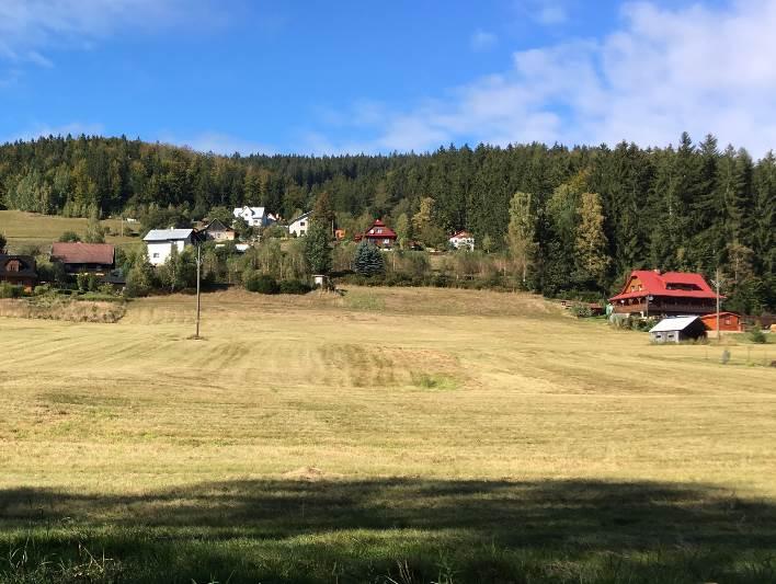 T1.1) předmět ochrany EVL Beskydy. V severní části při okraji lesa se nachází četná mraveniště.