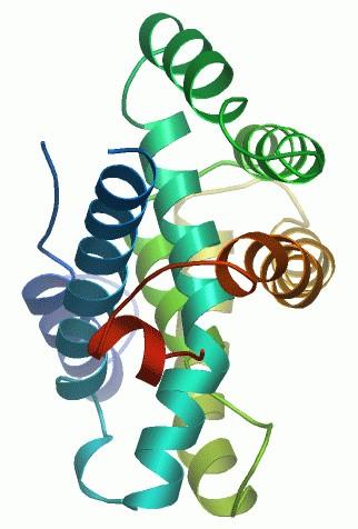 Farnesoidní X receptor byl původně pokládán za sirotčí nukleární receptor, protože jeho endogenní ligand nebyl znám, později se ale ukázalo, že má mnoho endogenních ligandů, z nichž nejvýznamnější