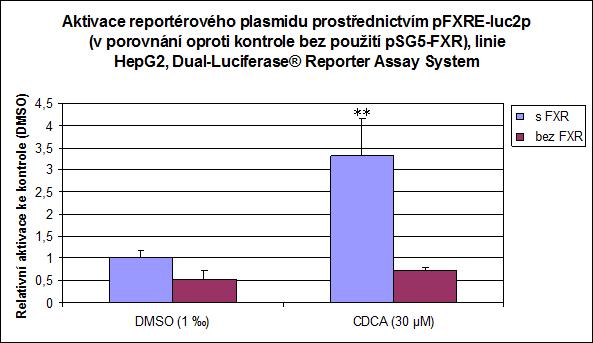 Obr. 37 Test interakce studované látky CDCA (kyselina chenodeoxycholová) s FXR receptorem metodou Dual-Luciferase Reporter Assay System, za použití reportérového konstruktu pfxre-luc2p a expresního