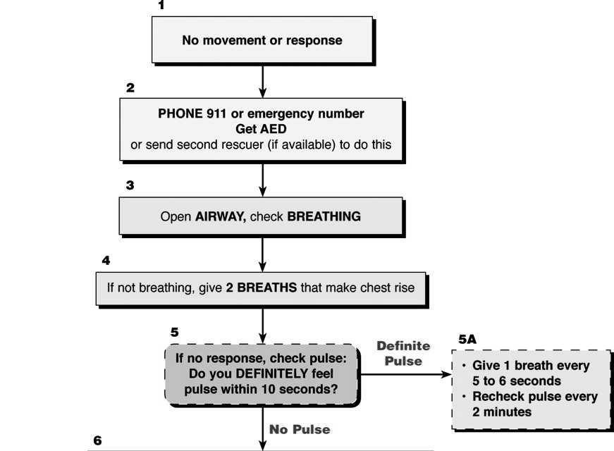 Adult BLS Healthcare