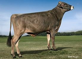 TMB 065 USAM000071130650 BROOKINGS x WONDERMENT Narozen: 15.1.2012 PTI 170 NM$ 416 mléko lbs.