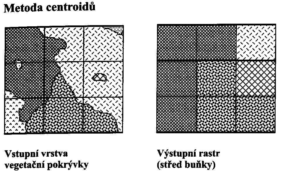 Vektor-rastr (polygony)