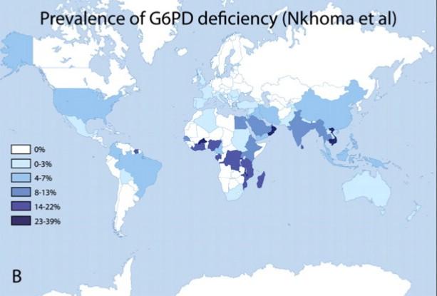 Deficience enzymu Oblasti výskytu deficience G6PDH G6PDH Problém deficience G6PDH se ve velké míře objevuje zejména v malarických oblastech, čímž se prokazuje vzájemná korelace mezi oběma