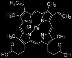 G-kvadruplexy detektory kovů G-kvadruplexy (G4) tvoří komplexy s aniontovými porfyriny heminem, N- methylmesoporfyrinem IX (NMM) protoporfyrinen IX