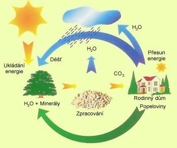 stavebními články každé organické hmoty biomasy. Jedná se tedy o složitý biochemický proces, ve kterém se mění energie světelného záření na energii chemickou.