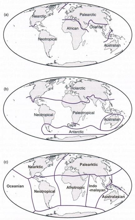 . Obr. č. 5: Srovnání biogeografických oblastí podle E. C.