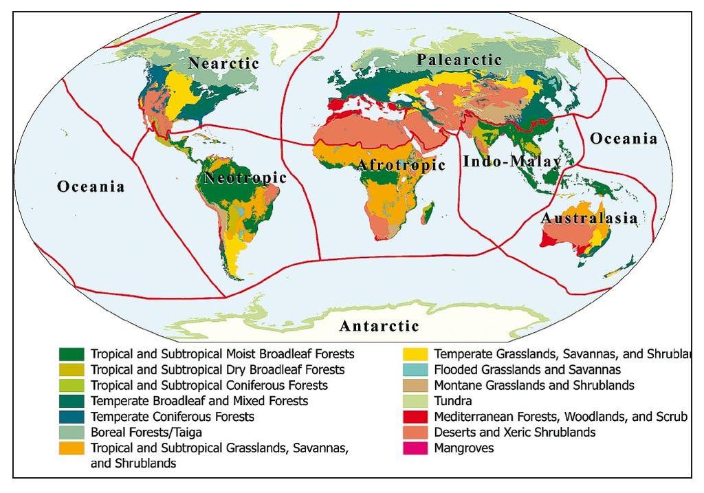 světa, c) biogeografické (fyto- a zoogeografické) oblasti světa. Obr. č.