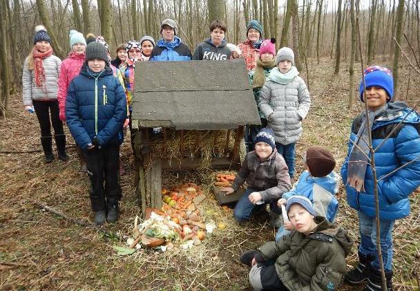 Environmentální výchova aktivity: Září 2015 Mezinárodní den ochrany ozónové vrstvy - řízená diskuze, Pozorování chování člověka ke zvířatům - řízená diskuze, výtvarná tvorba, Sběr kaštanů, žaludů a