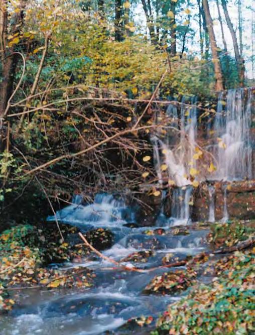 PARK PRIRODE PAPUK Planinarski dom na Jankovcu faunistièkim obilježjima slavonskoga gorja te poznatim planinarsko-izletnièkim i turistièkim lokalitetima toga dijela Hrvatske.