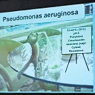 Seminář může také pomoci zdravotním sestrám, lékařům z nemocnic i ambulantních zařízení. Přínosný je i pro zaměstnance z agentur domácí péče a sociálních zařízení.