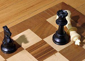 Král je mrtev šach-mat Pokud hráč nějakým tahem napadne soupeřova krále, tzn. přesune se tak, že by potenciálně příštím tahem mohl krále brát, říkáme, že soupeřovi dal šach.