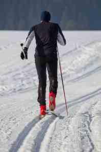 10:30-15:30 - běžecké lyžování centrální Šumava - sněžnice -