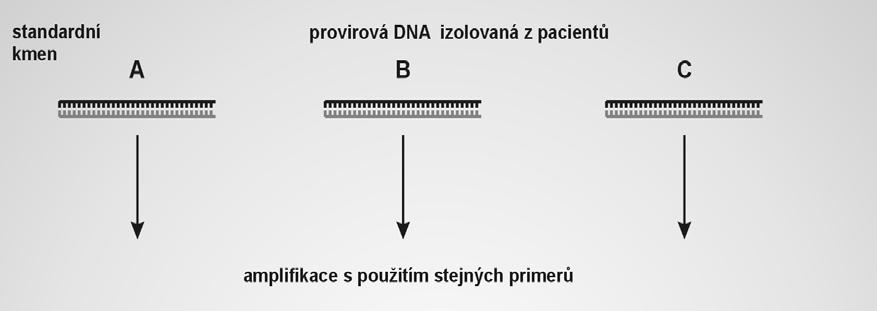 STANOVENÍ