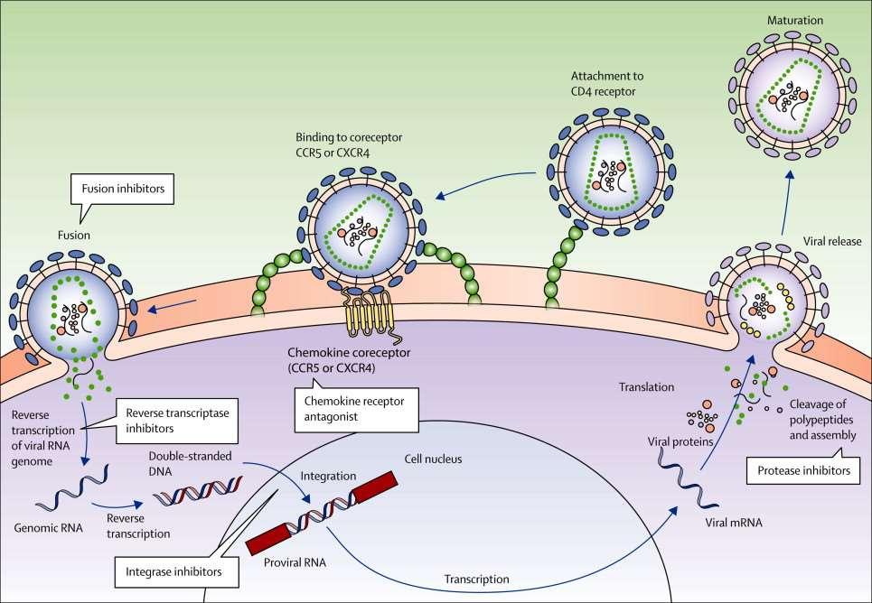 HIV