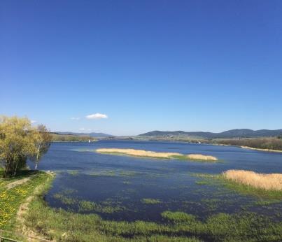 S rozlohou téměř 50 km² jde o největší vodní plochu v ČR.