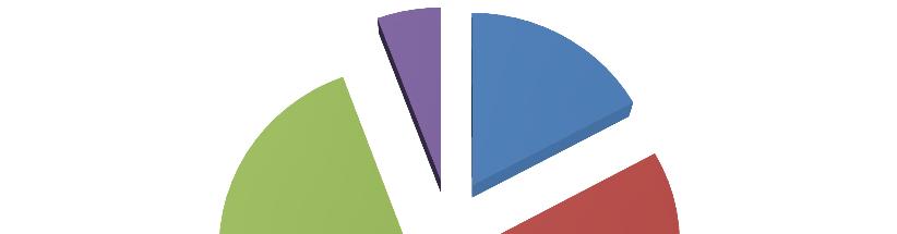 TROCHA STATISTIKY ROKU 2018 Počet a druh pokojů : jednolůžkové 15 dvojlůžkové 10 Celkem 35 lůžek Průměrná obložnost za rok 2018 byla 99%.