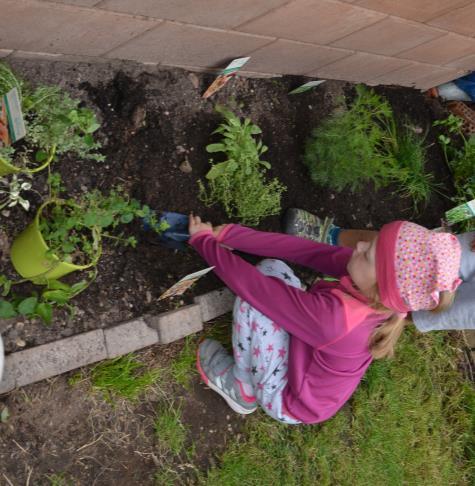 Cíle a motivace našeho projektu Bylinky na naší zahrádce jsme se rozhodli pěstovat s dětmi z několika důvodů 1.