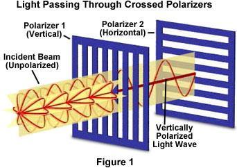 světlé a tmavé proužky různé šířky Polarizace - světlo je postupné příčné elektromagnetické záření.