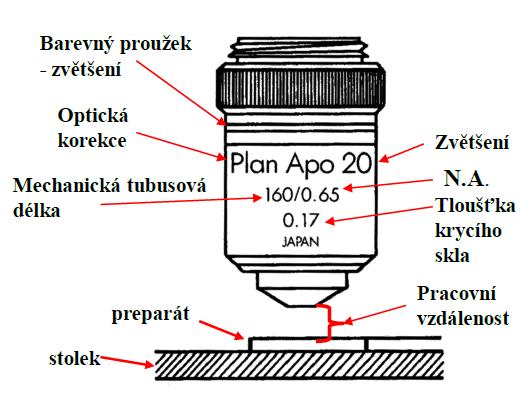 Objektiv Pro každý mikroskop existuje maximální zvětšení, za kterým už obraz vypadá pouze větší, ale už se