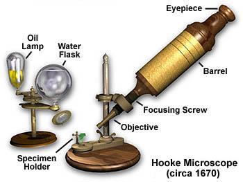 Micrographia