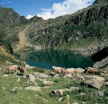 ITÁLIE - VALTELLINA DOPORUČENÉ TRASY Z ČR I CH MADESIMO CAMPODOLCINO APRICA CHIAVENNA Praha, Regensburg, München, Garmisch - Partenkirchen České Budějovice, Dolní Dvořiště, Linz, Salzburg, Innsbruck