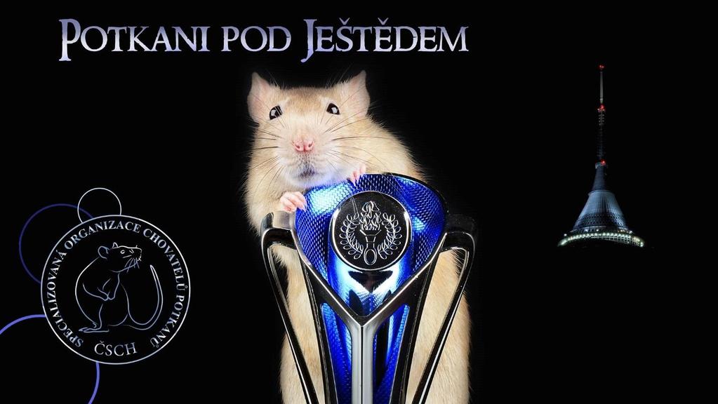 2. ročník výstavy POTKANI POD JEŠTĚDEM 2018 aneb Potkal potkan potkana pod Ještědem Navštivte druhý ročník severočeské výstavy potkanů v Liberci!