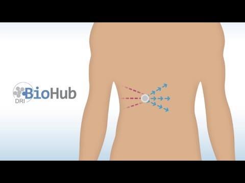 BioHub