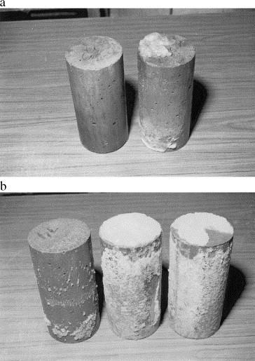 Obrázek 6 - Vzhled vzorků po 2 měsících v roztoku kyseliny octové (ph = 4): (a) AAM na bázi strusky, (b) PC beton [31] Změny mikrostruktury byly analyzovány pomocí rentgenové difrakční analýzy (XRD