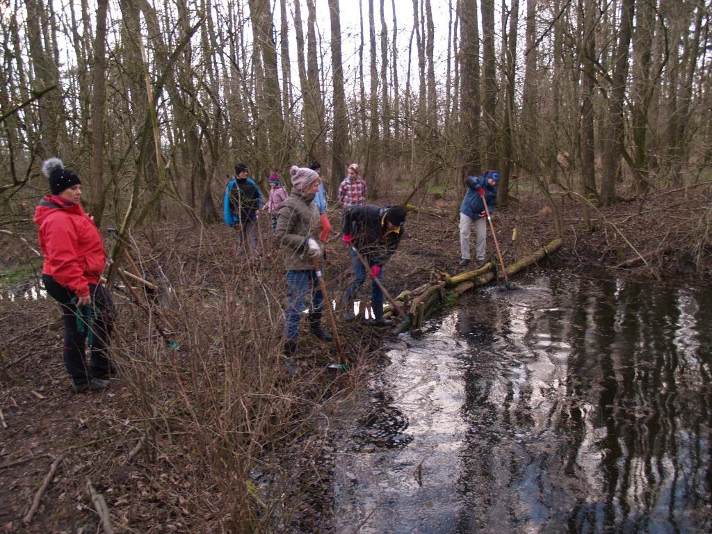 803,08 Kč Čistění studánky, tůně a pramenů