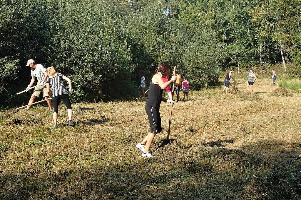 EVL Dětenické louky (rozloha 1,1 ha) naturové lokality slatinná louka u Struh (rozloha 0,3 ha) koniklecová louka pod Láskovem u Debře (rozloha 0,2 ha) EVL Paterovské