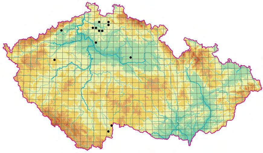 Pionýrská vegetace písčin a mělkých půd (Koelerio-Corynephoretea) Obr. 176. Rozšíření asociace TFB01 Airetum praecocis. Fig. 176. Distribution of the association TFB01 Airetum praecocis.