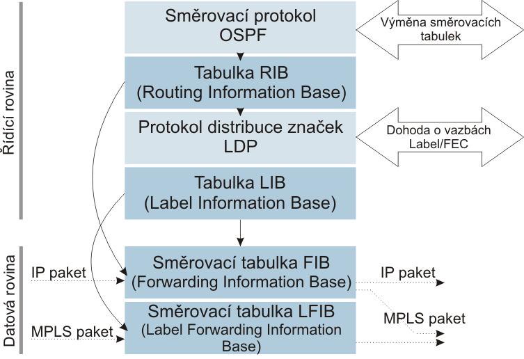 používá k reálnému směrování paketů. Souvislosti protokolů a tabulek obou rovin jsou vysvětleny níže a ilustrovány na Obr. 9 Souvislost bází RIB, LIB, FIB a LFIB.