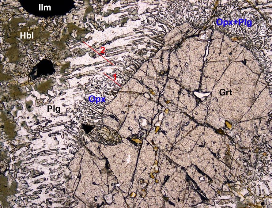 15 Symplektitový, ortopyroxen-plagioklasový (Opx+Plg) lem kolem granátu (Grt), s vyznačenou 1. a 2. zónou, mimo zónu je ilmenit (Ilm) a amfibol (Hbl).