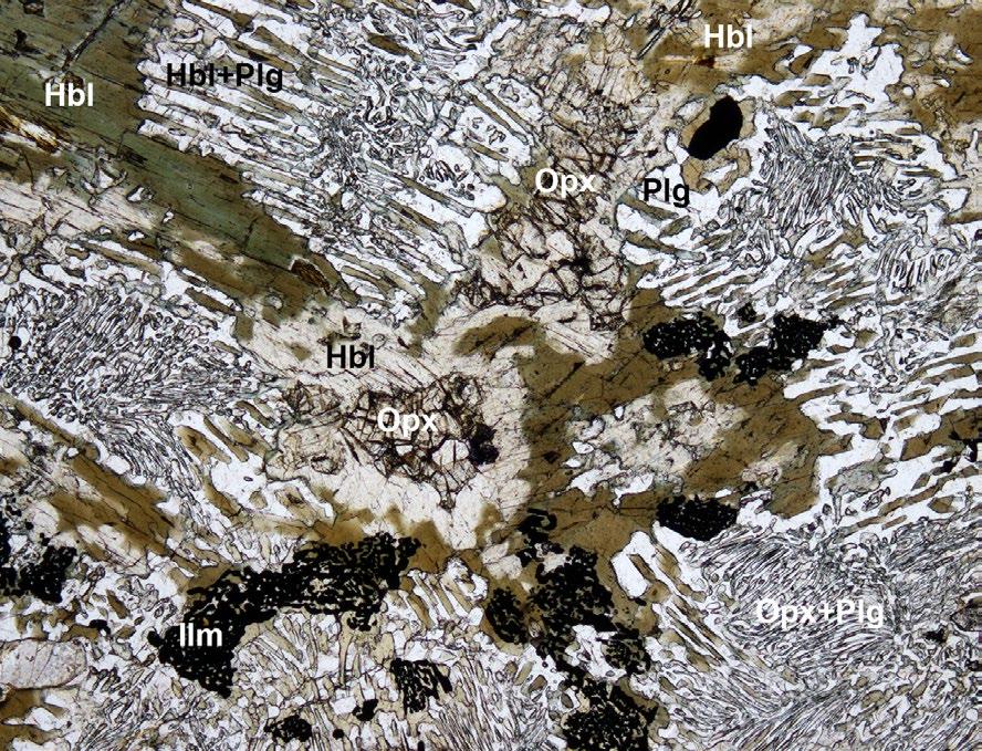 22 Přímý styk ortopyroxenu (Opx) s granátem (Grt), bílé zrno náleží ilmenitu (Ilm), symplektit je tvořen plagioklasem (Plg) a ortopyroxenem, šedý je amfibol (Hbl). Mikrofotografie BSE. Foto R. Škoda.