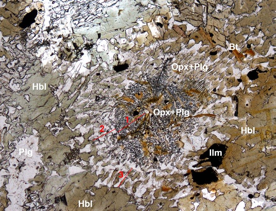 Bull. mineral.-petrolog. Odd. Nár. Muz. (Praha) 22, 2, 2014. ISSN 1211-0329 (print); 1804-6495 (online) 317 Klinopyroxen (15 obj. %) je světle šedohnědavé barvy, nepleochroický.