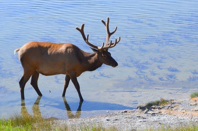 3) Nadmořská výška Ačkoliv to člověku nepřijde, park leží v nadmořské výšce kolem 2300 m. n. m. a jeho nejvyšší vrchol měří dokonce 3466 m.