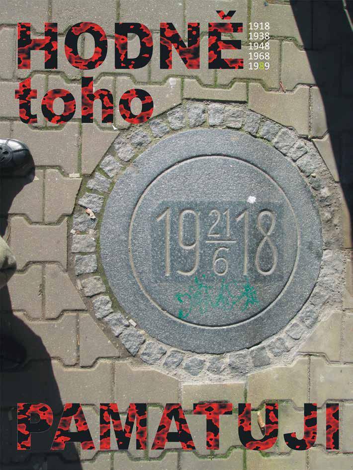 Hodně toho pamatuji, plakát, digitální tisk, 100 70