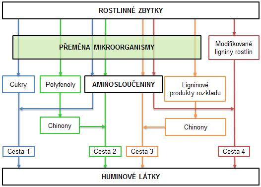 3.1.5 Přírodní vznik HL vznikají humifikací, tedy biologickým a chemickým rozkladem organických biopolymerů odumřelých živočišných a rostlinných tkání v půdě.