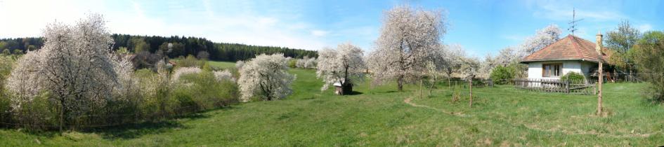 Standardy Péče o krajinu a přírodu AOPK ČR http://standardy.nature.cz/aktuality/zverejneni-standardu-k-ovocnym-drevinam/ Schváleno a zveřejněno 18.